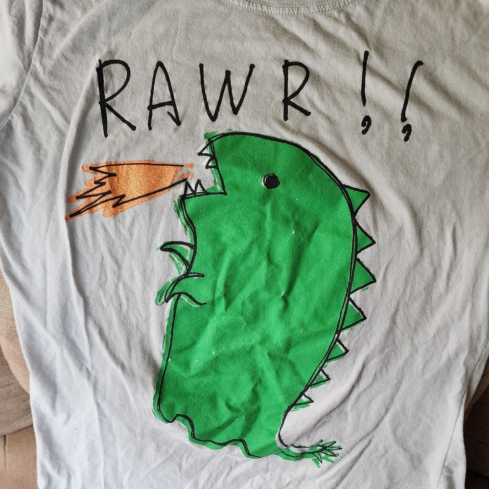 Grey Dinosaur Tee, casual